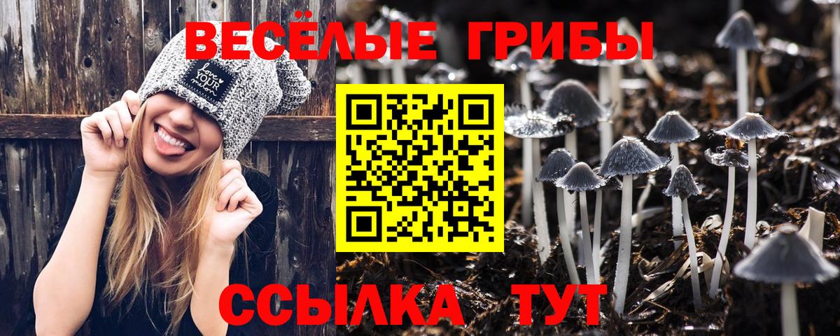 Севастополь  Псилоцибиновые грибы мицелий  Вход с VPN  Галлюциногенные грибы Psilocybine cubensis 