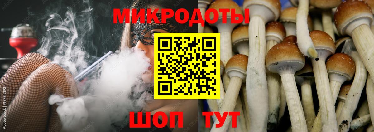 Псилоцибиновые грибы Cubensis Севастополь